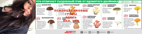 спайс Алексеевка