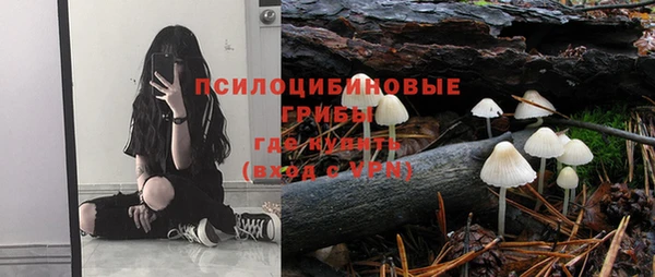 эйфоретик Чекалин
