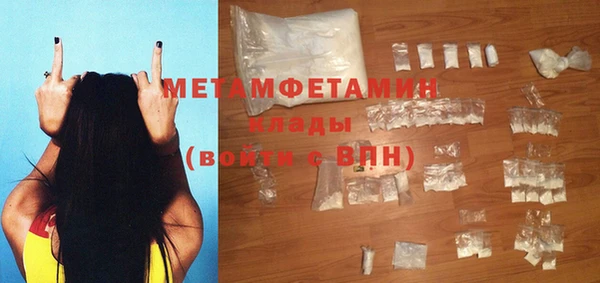 прущие грибы Чегем