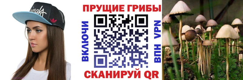 кракен рабочий сайт  Починок  Псилоцибиновые грибы Magic Shrooms  цены  